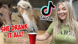 Recreating VIRAL EQUESTRIAN TIK TOKS! PART 7!! | With my NEW HORSE!