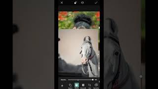 Picsart new concept photo editing ll background change #shorts #shortvideo #edit