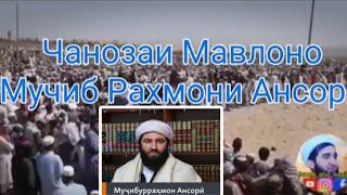 Чанозаи Мавлоно Мучибу Рахмони Ансори #афганистан جنازه مجیب الرحمن انصاری