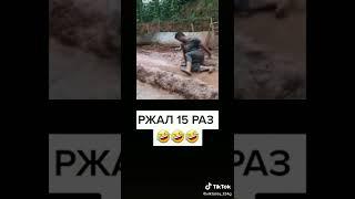 video #2022 #Tiktok #passive  #короткие #музыка #shortsvideo #shorts #танцы