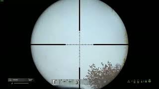 DayZ server TIGER