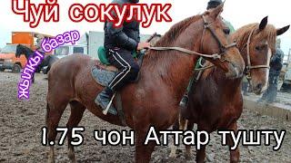 1.декабрь 1.75 чон Аттар тушту 450 мин деп Чуй сокулук жылкы базары