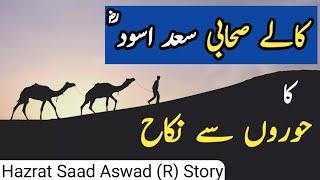 Hazrat Saad Aswad RA | Hazrat Saad Aswad ka Hooron sy Nikah | Amazing Story of Hazrat Saad al Aswad