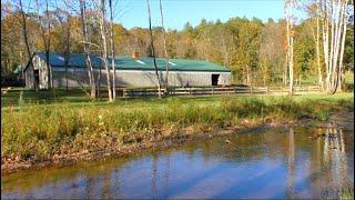 Rocky Point Stables