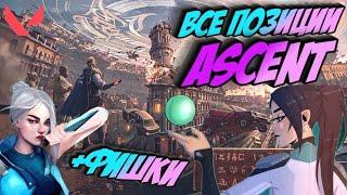 ПОЗИЦИИ НА КАРТЕ ASCENT +ФИШКИ! ГАЙД №8 ПОЗИЦИОНКА НА КАРТЕ АСЦЕНТ! ФИШКИ ДЖЕТТ И СЕЙДЖ.