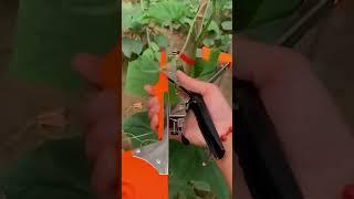 Easily Tie Branches with This Handy Garden Tool#GardeningTools #GardenHacks #BranchTying #GardenTips