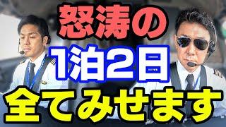 【怒涛・激レア】ANAウイングスのパイロットに密着！コックピットや、パイロットが機内に現れたデッドヘッドって？！、ステイ先の様子まで秘蔵映像満載