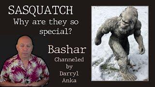 SASQUATCH: Why did they evolve to be so special? Bashar Channeled by Darryl Anka