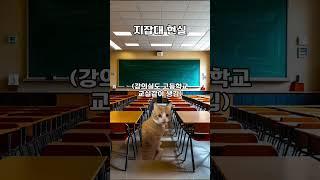 지잡대 #고양이밈