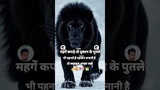mahge kapde to dukan ke putle bhi pahnte h