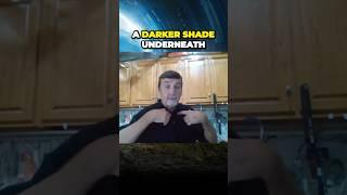 Alien Encounters Face to Face UFO Witness Chris Bledsoe Describes Extraterrestrials