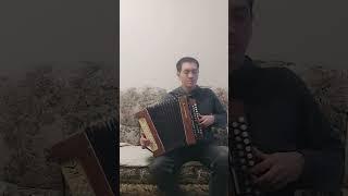 Чистые пруды (на гармошке)