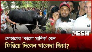 ভক্ত সোহাগের ‘কালো মানিক’ গ্রহণ করেননি খালেদা জিয়া | Khaleda Zia | News | Desh TV