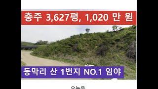 충주 3,627평, 1,020만 원 (동막리 산 1번지 NO.1 임야)