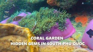 Chasing CORAL GARDEN, Phu Quoc Island, Vietnam | Soft-adventure Snorkeling