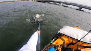 This "SMALL" Change Made a BIG Difference for the Fluke Bite! NYC Kayak Fishing