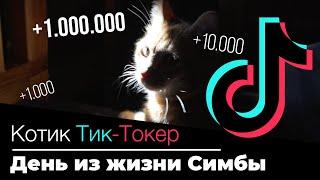 Жизнь котика Тик-Токера. Первое видео на YouTube!