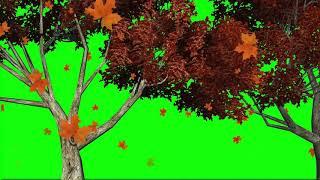 Tree green screen effect | New green screen effect | filling with plants green screen video | vfx