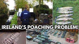 Ireland's illegal poaching problem