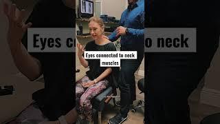 Eyes connected to neck muscles?