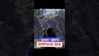 САМЫЕ СТРАШНЫЕ ЗВУКИ #раст #rust