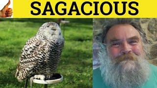  Sagacious Sagacity - Sagacious Meaning - Sagacity Examples - Sagaciously Definition-GRE Vocabulary