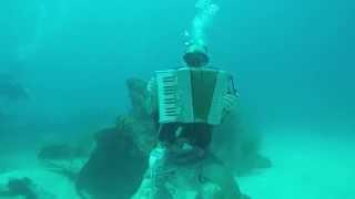 playing accordion under water