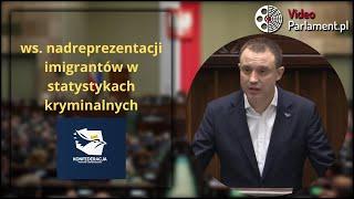 Konfederacja - ws. nadreprezentacji imigrantów w statystykach kryminalnych