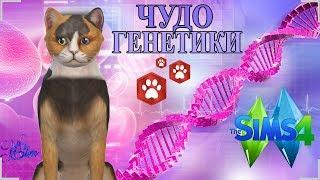  The Sims 4 Кошки и Собаки: Challenge Чудо Генетики | КОТОПЕС 