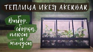 Теплица ИКЕЯ AKERBAR | Выбор, сборка, плюсы и минусы