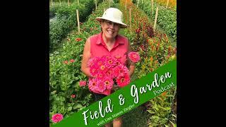 #93: Growing Lilies with Val Schirmer