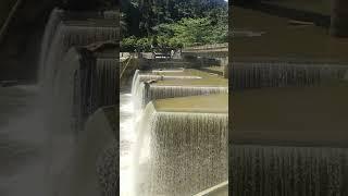 Bendungam #papua #viral #tiktok