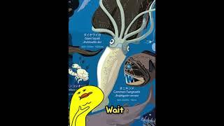 Deep Sea Creatures "Giant Squid" #gigantura #deepseafish #wierdfish #shorts #shortsviral