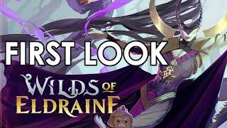 Wilds of Eldraine First Look | New Cards, Bonus Sheet and More! | Mtg