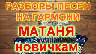 РАЗБОРЫ ПОД ГАРМОНЬ! МАТАНЯ НАЧИНАЮЩИМ!