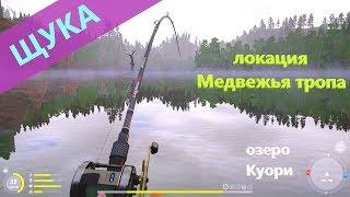 Русская рыбалка 4 - озеро Куори - Щука у восточного берега