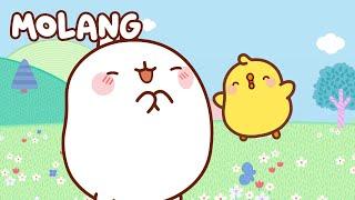 ALL the episodes ⭐ MOLANG and Piu Piu | Funny Cartoons for Kids | Compilation