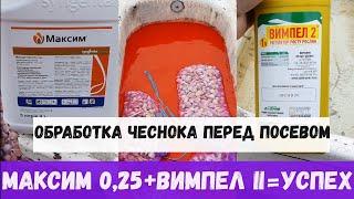 КАК ОБРАБОТАТЬ ЧЕСНОК ПЕРЕД ПОСАДКОЙ МАКСИМ + ВЫМПЕЛ II = УСПЕХ