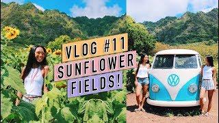 VLOG #11 | Sunflower Fields, Snorkeling, and Thrift Shopping! | Michelle Kanemitsu