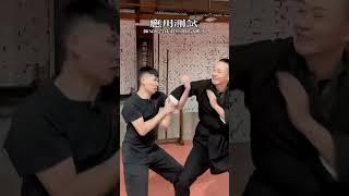 詠春防身技巧 Wing Chun Self-defense techniques #功夫 #wingchun #kungfu
