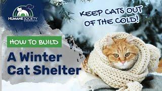 How to Build a DIY Winter Community Cat Shelter