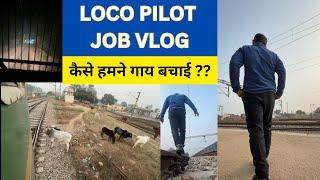 LOCO PILOT STARTING TRAIN , SAVING COWS , FULL JOB VLOG