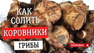 ГОТОВЛЮ ГРИБЫ КОРОВНИКИ #смачненько #грибы