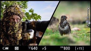 2 AUTOFOCUS TECHNIQUES you must master for Wildlife Photography | shutter and back button autofocus