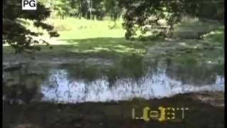 Mysteries of the Ancient a Civilization | National Geographic Documentary |