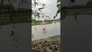  Cat dance on water ️️️