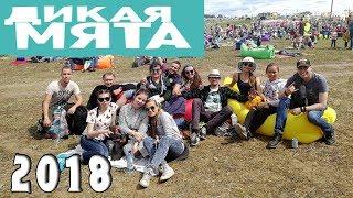 Дикая мята 2018. Как проходит этот музыкальный фестиваль, плюсы и минусы.
