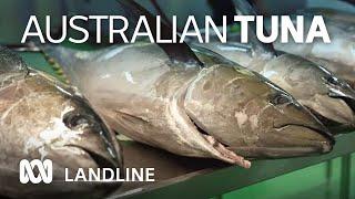 The Far North Queensland family behind the only Australian caught tinned tuna  | ABC Landline