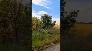 Три ошибки которых нельзя допускать ... #мудрость #wisdom #shorts