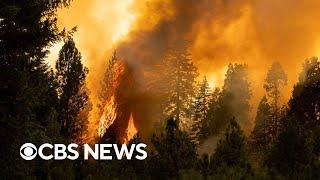 Videos show Park Fire's destruction in Northern California